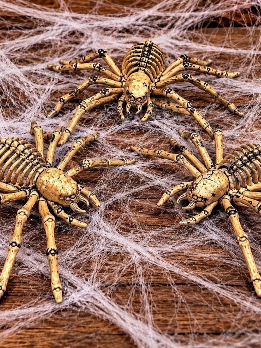 Halloween Spider Decorations Set